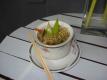 How To Make Sauteed Bean Sprouts